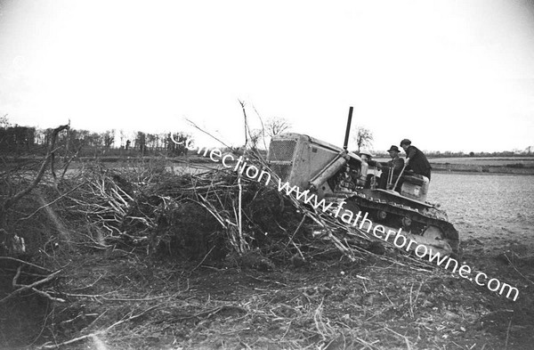 BULLDOZER  CLEARING SCRUB AND TREES  NEAR LAKE